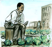 Charlie Parker's Cabbages