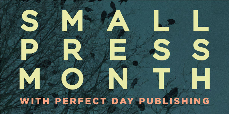 Small Press Month: Perfect Day Publishing