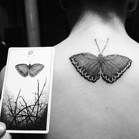 A Wild Unknown inspired tattoo.