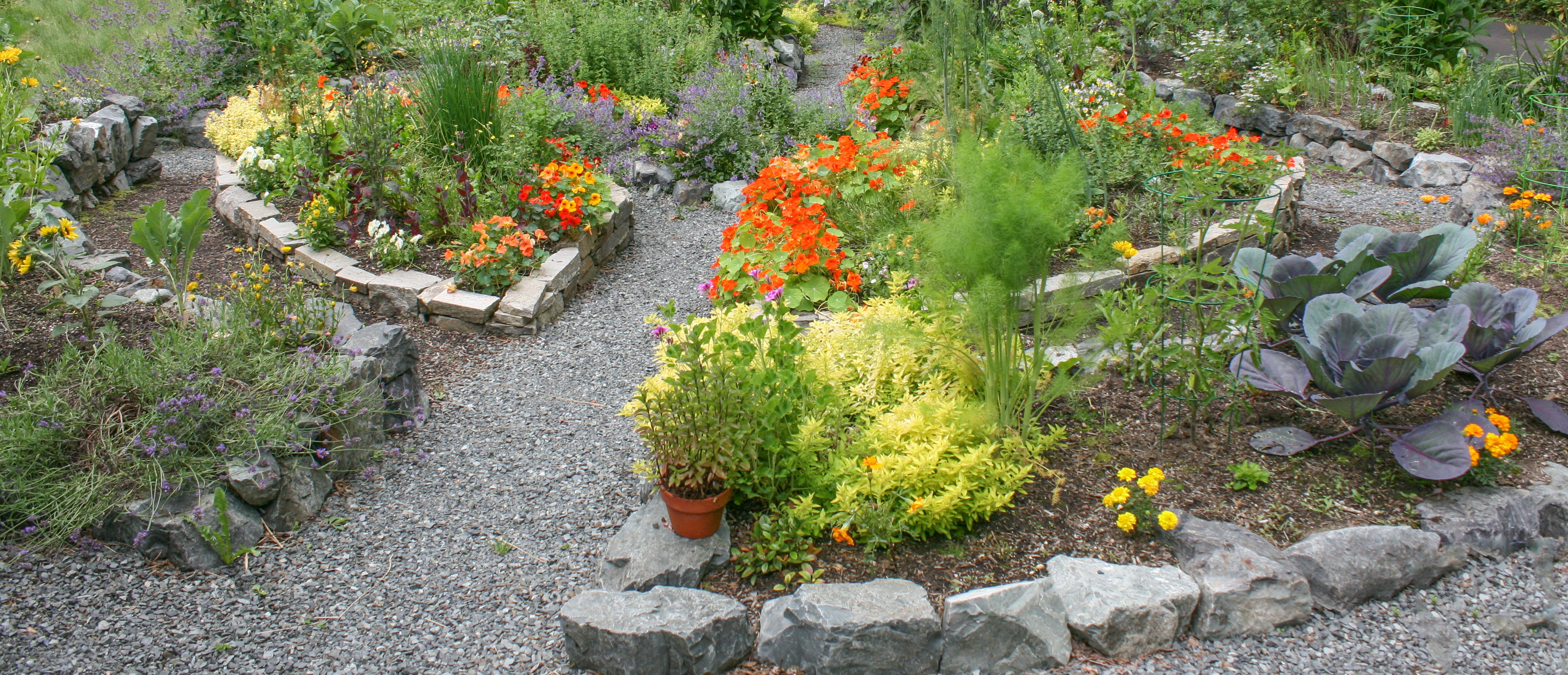 A cultivated garden pathway.