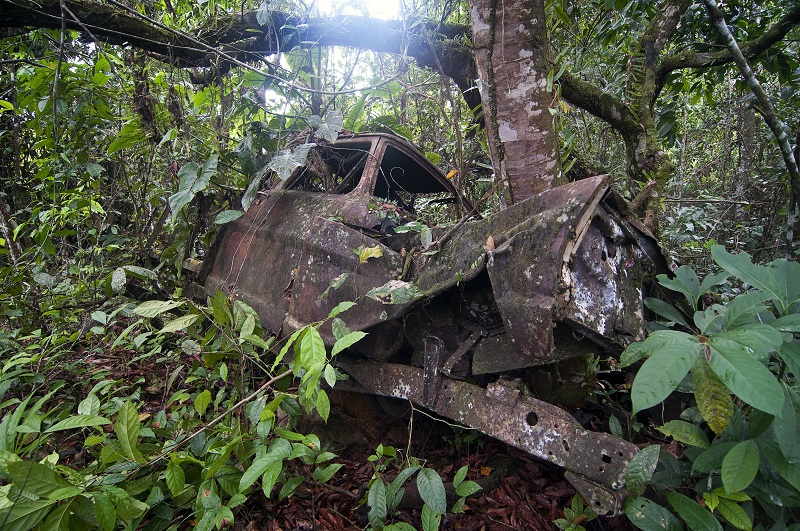 Photo: overgrown truck at the Jonestown site.