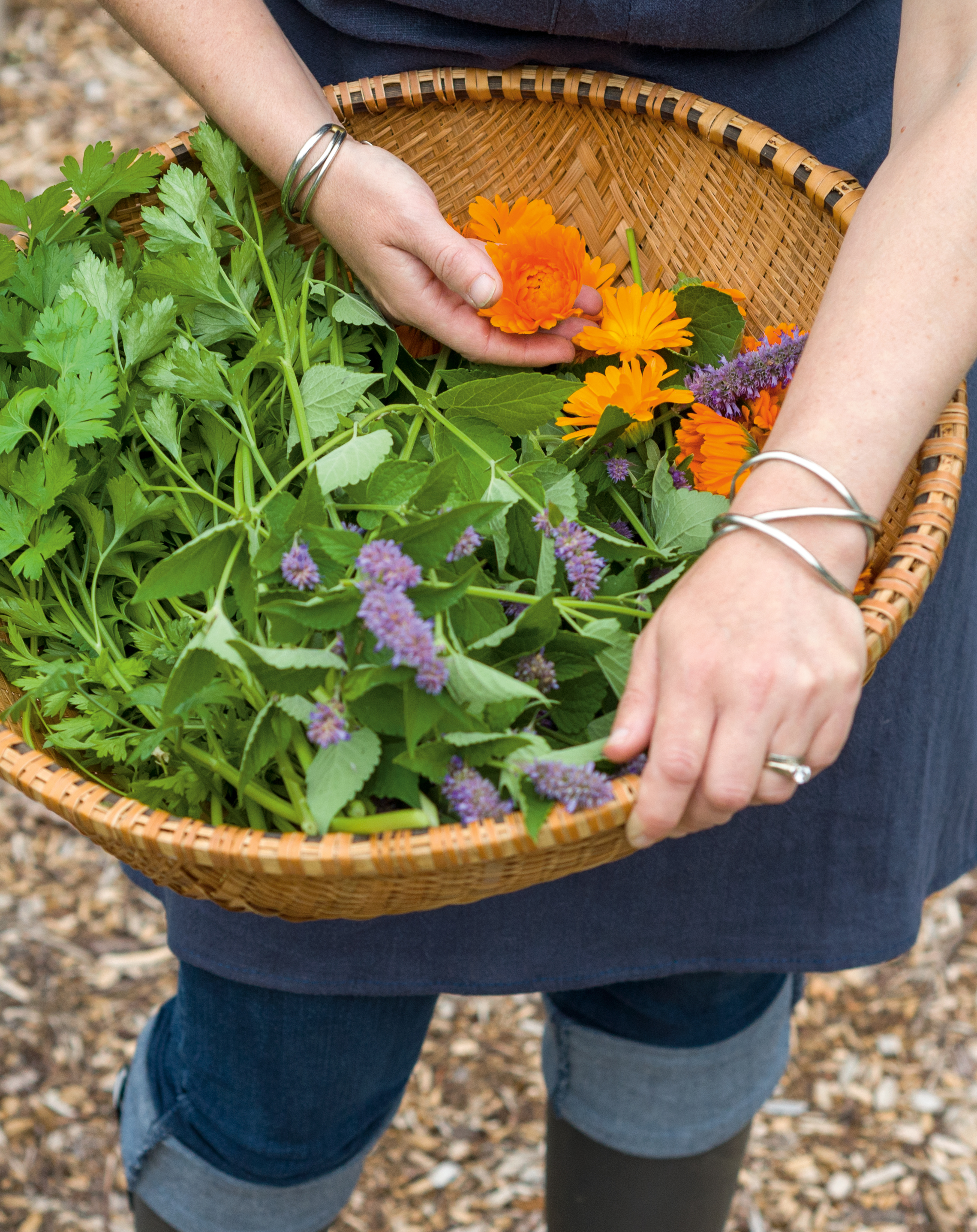 A basket of freshly picked herbs being held in someone's forearms.