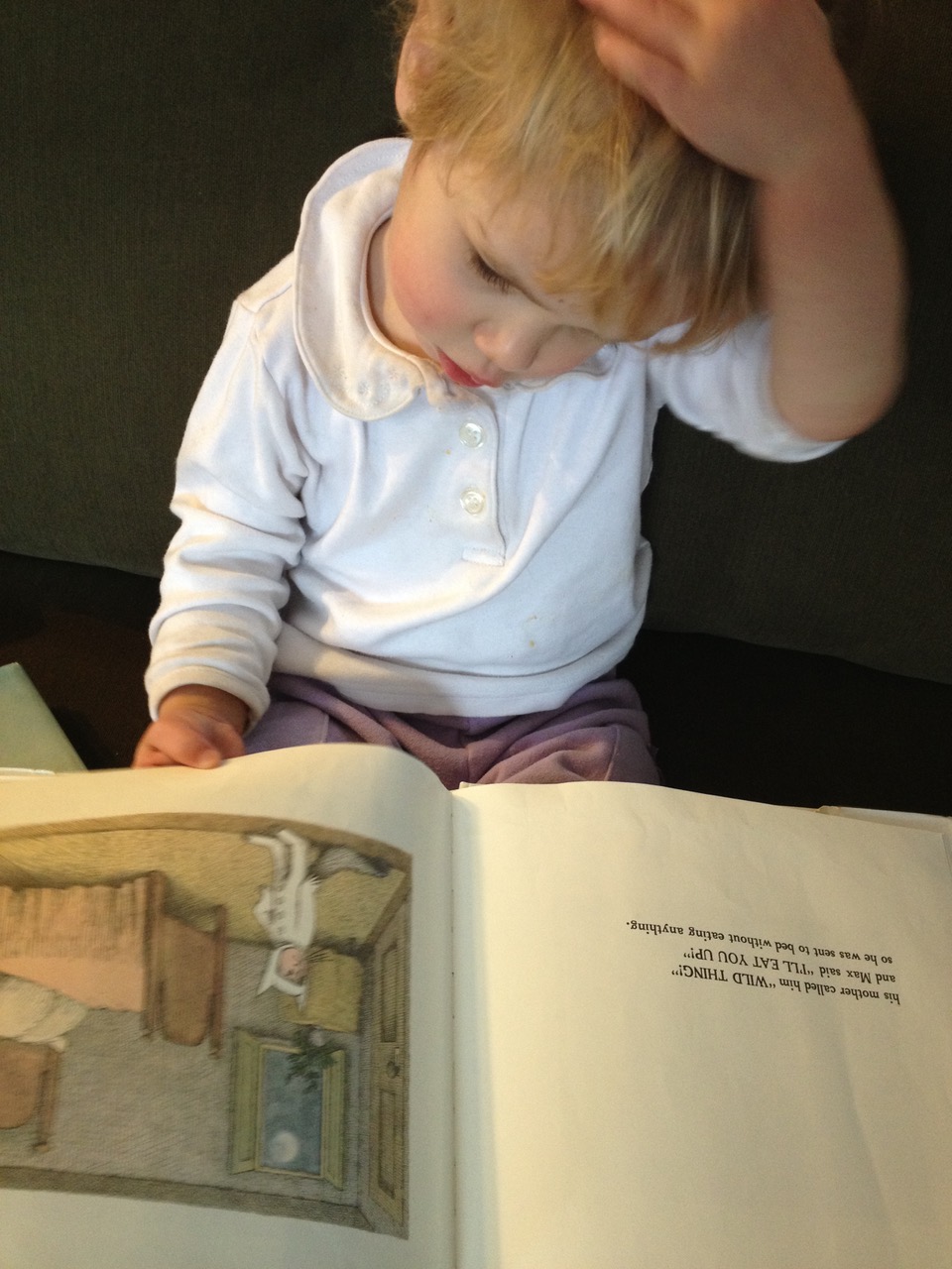Rosenwaike's child reading Where the Wild Things Are.